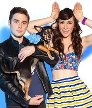 Load image into Gallery viewer, Onch Teddies (Blue)